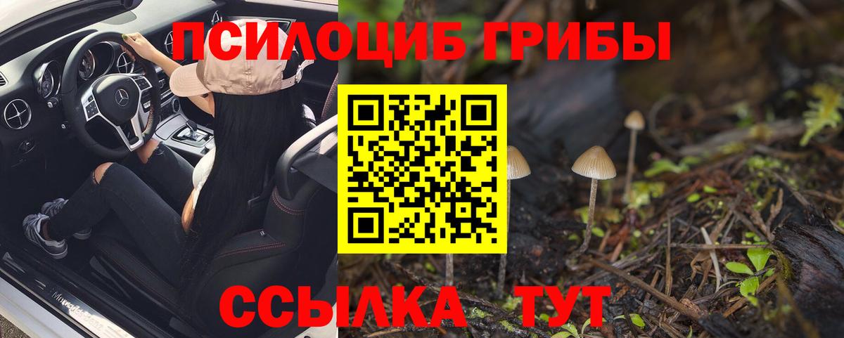 Галлюциногенные грибы MAGIC MUSHROOMS Чебаркуль