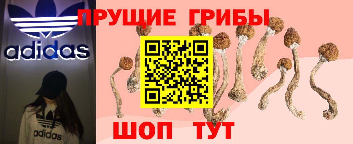 Чебаркуль  Галлюциногенные грибы ЛСД  Вход с VPN  Псилоцибиновые грибы мухоморы 